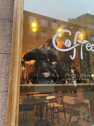 Window Painting